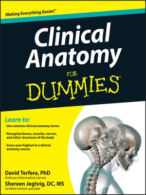 cover image of Clinical Anatomy For Dummies